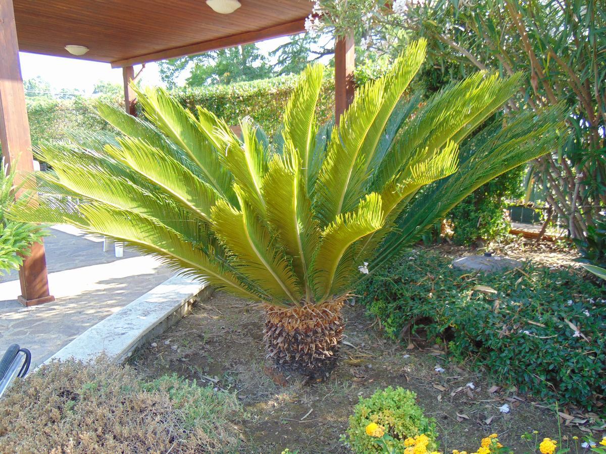 Villa Celeste B&B Pontecagnano Kültér fotó